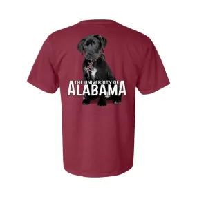 Alabama Lab Puppy Comfort Colors Tee