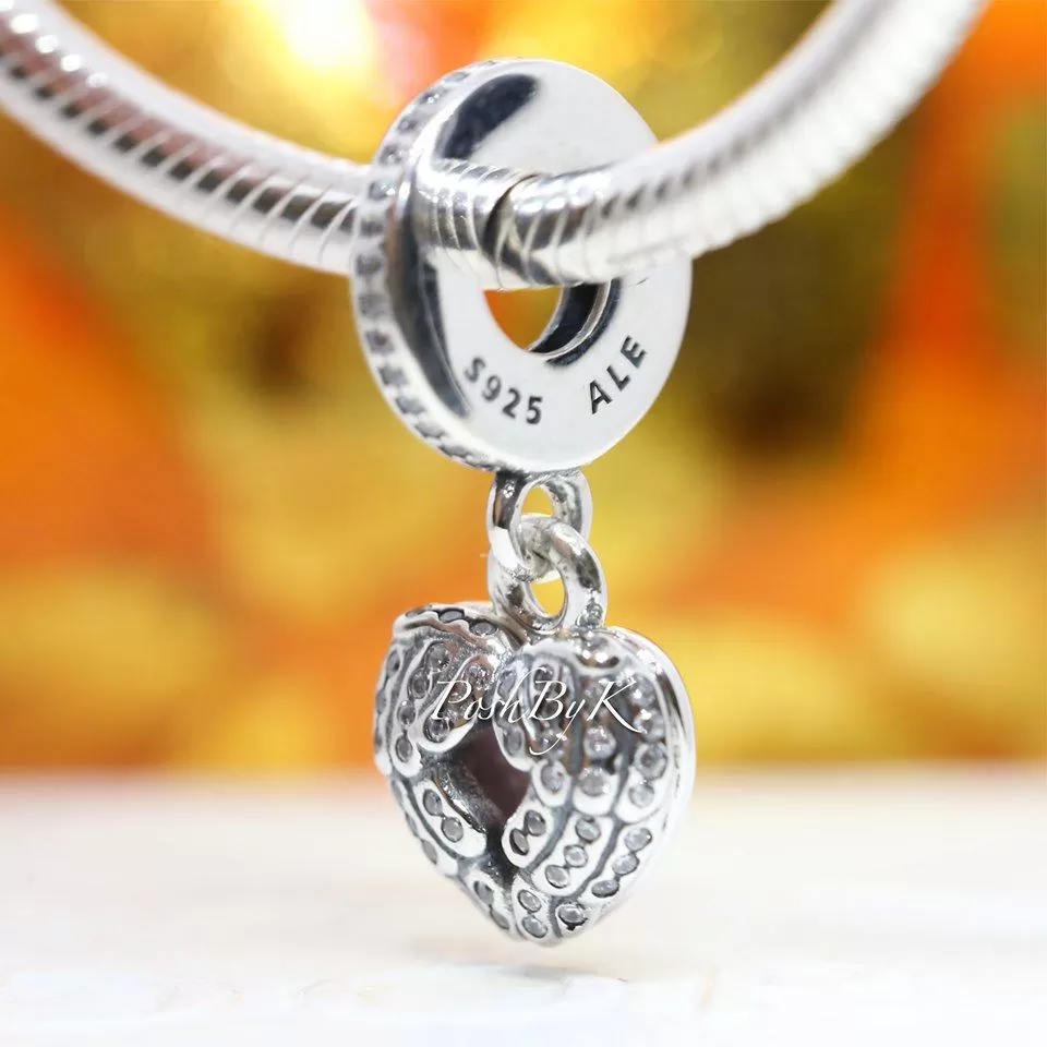 Angel Wings Locket Dangle Charm 791737CZ