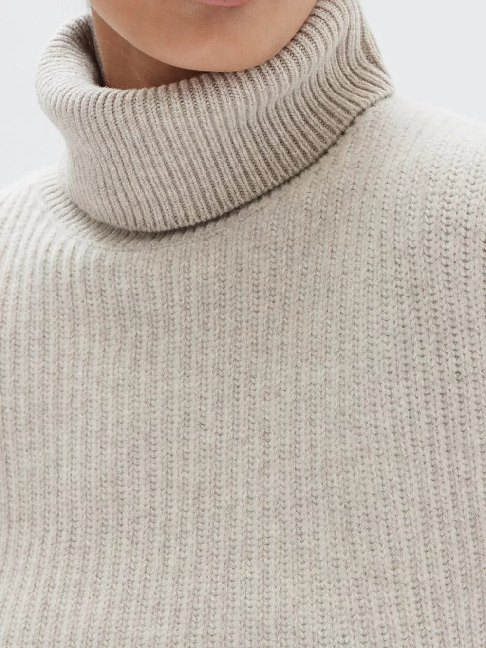 ASSEMBLY LABEL KRISTA ROLL NECK WOOL RIB KNIT