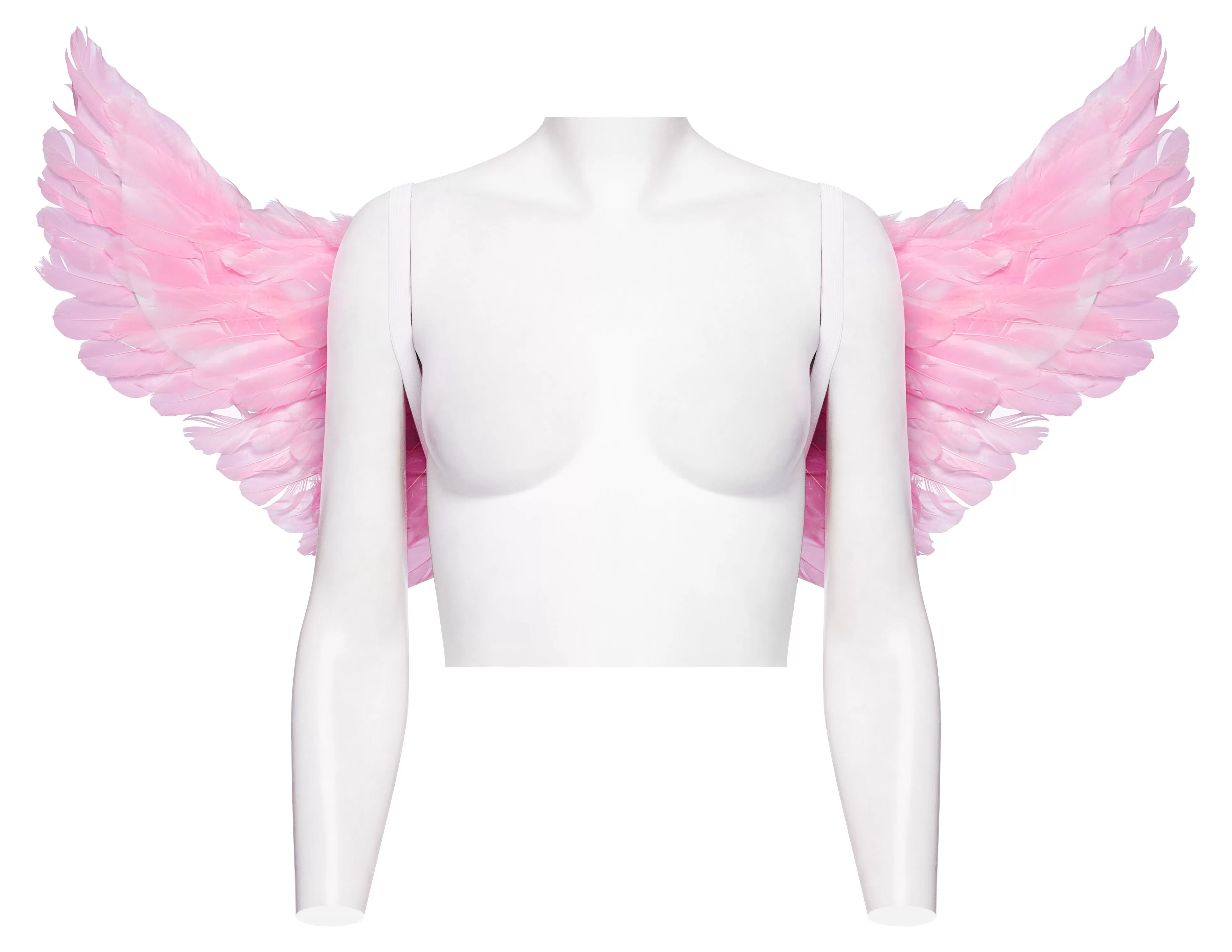 Cotton Candy Angel Wings