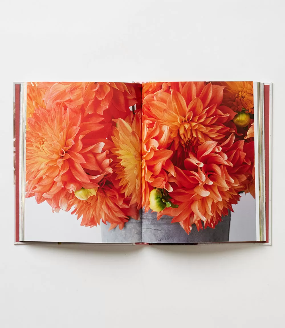 Dahlias