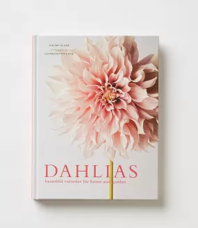 Dahlias