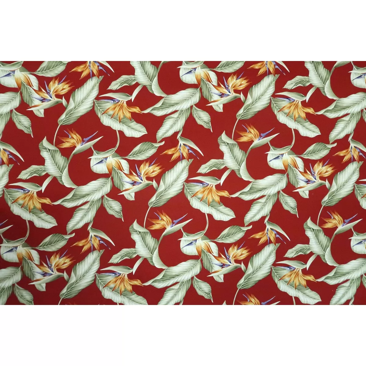 Dobby Cotton Birds of Paradise | Dark Red