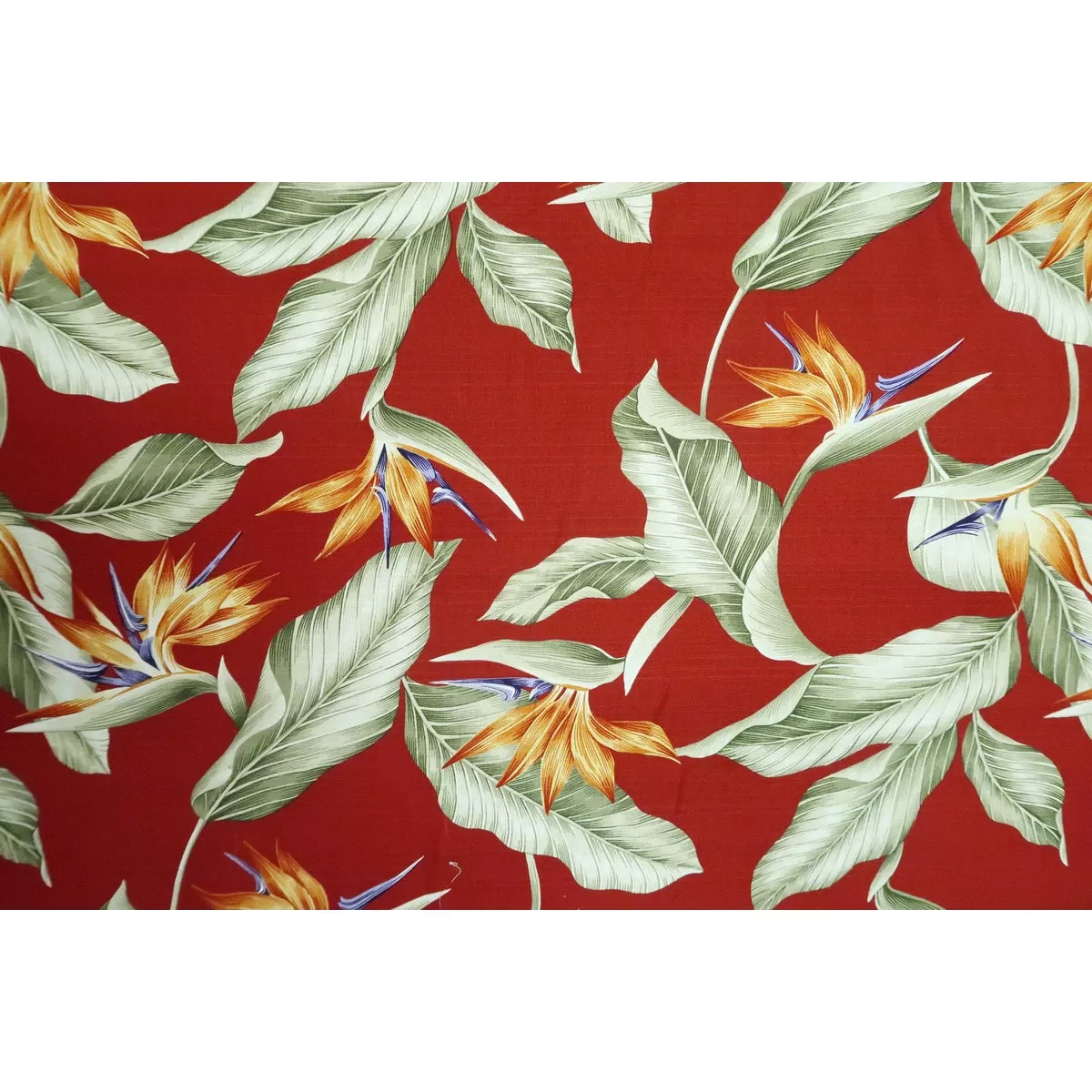 Dobby Cotton Birds of Paradise | Dark Red