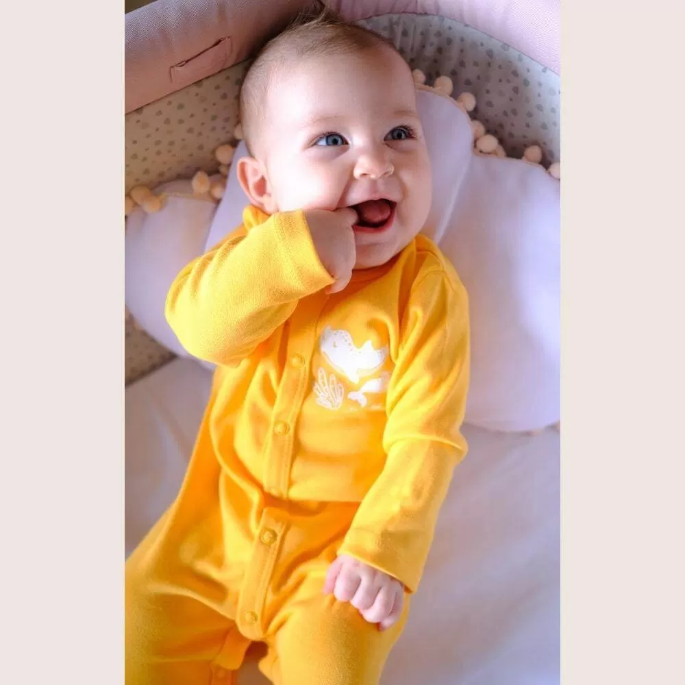 Dolphin Baby Sleepsuit with Close Toe