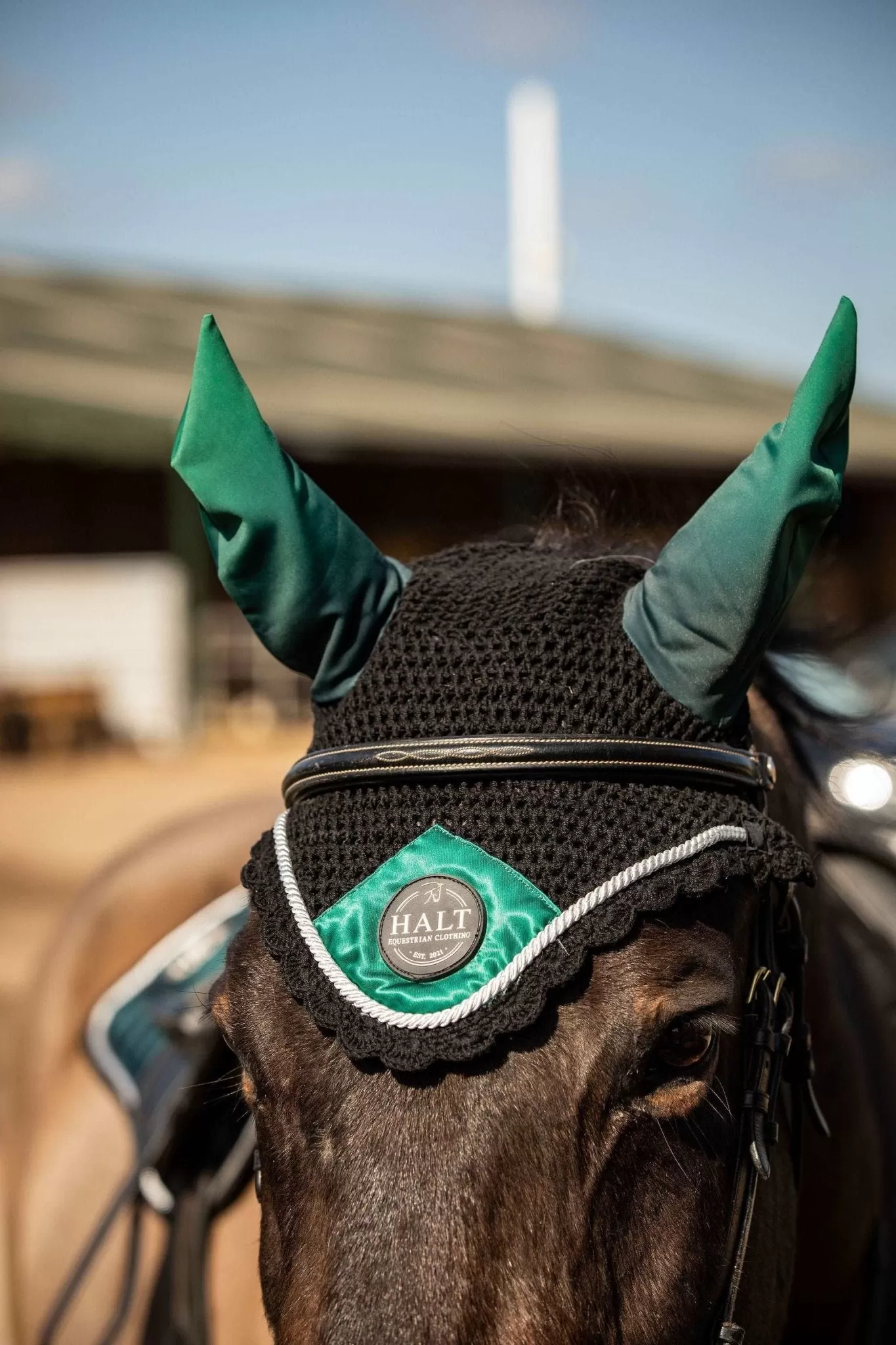 Emerald Green Fly Veil