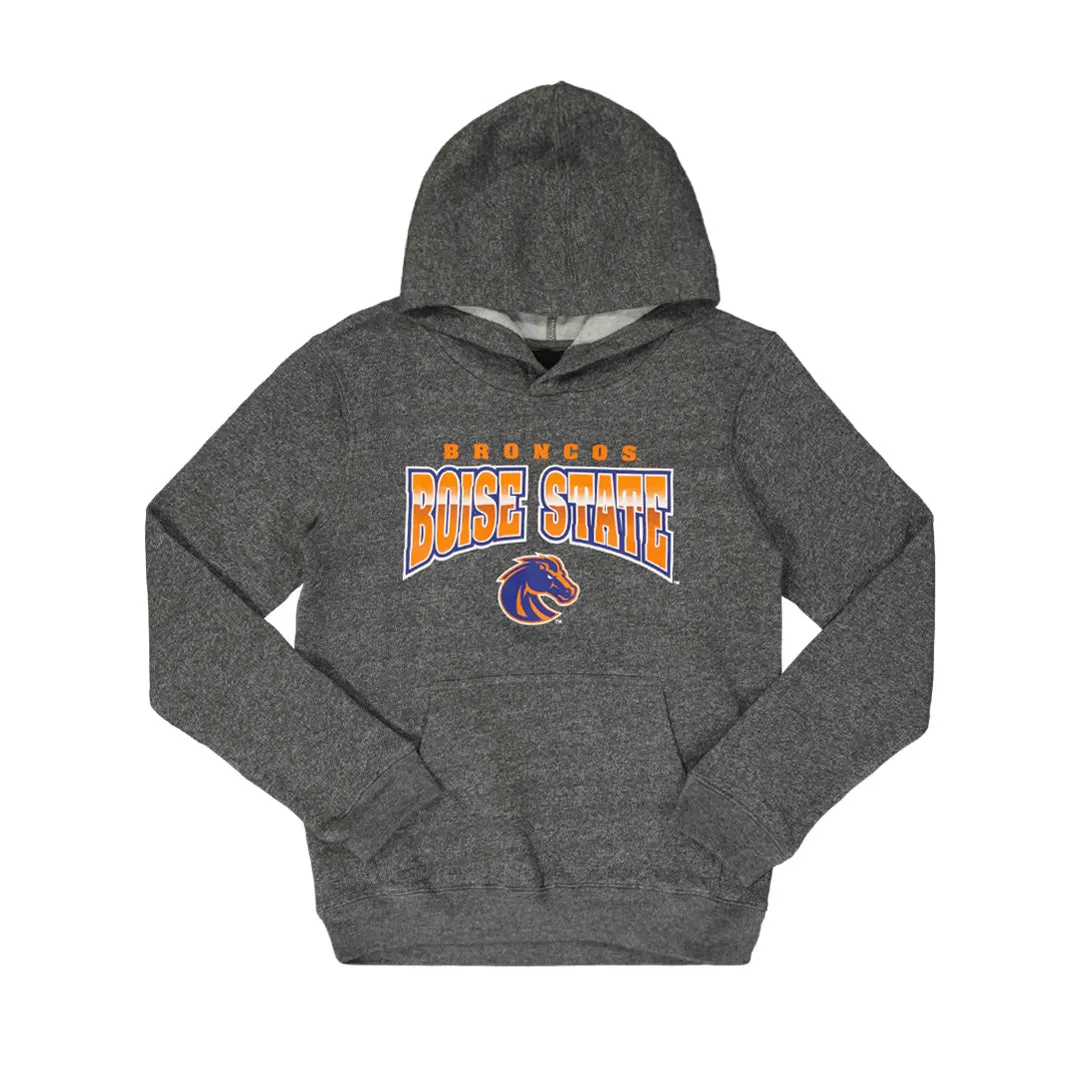 Kids' (Junior) Boise State Broncos Chromed out Hoodie (KZ8ALLFR 2)