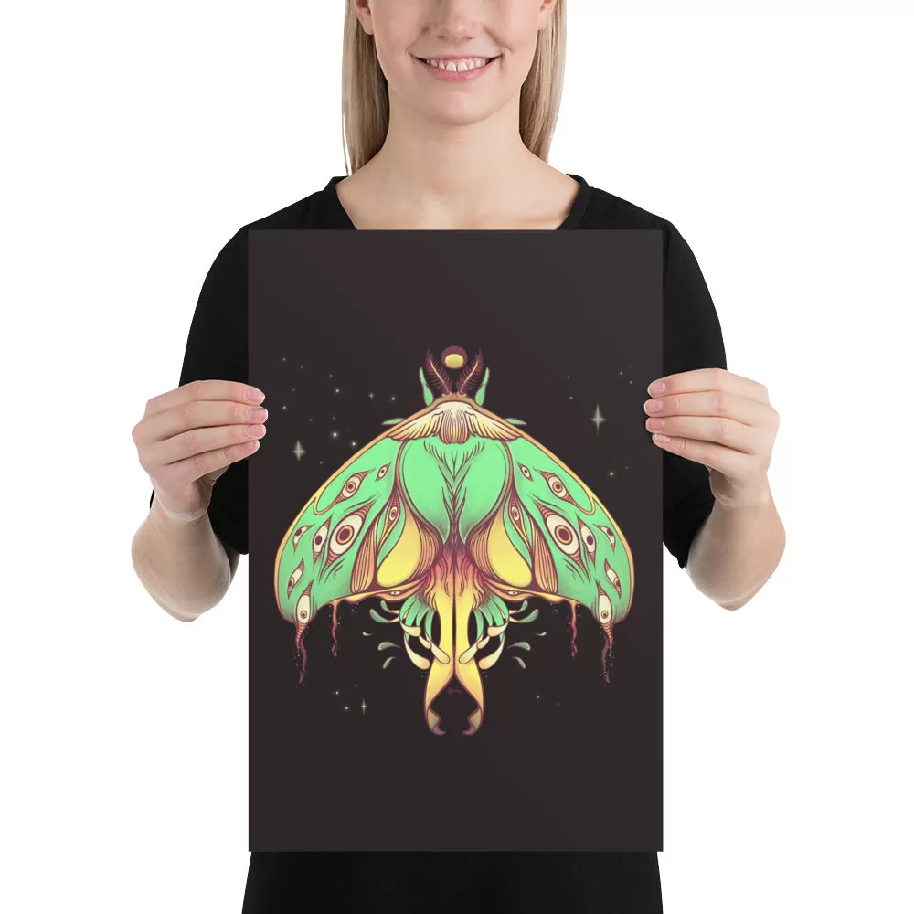 Luna Moth, Matte Art Print Poster