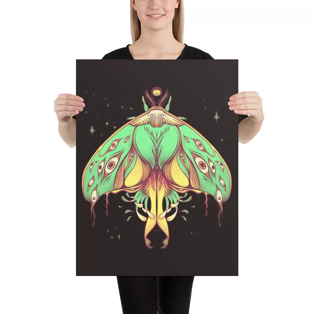 Luna Moth, Matte Art Print Poster