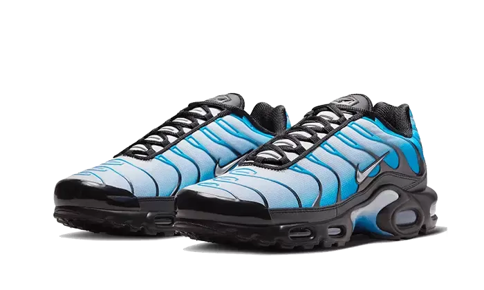 Nike Air Max Plus Blue Gradient