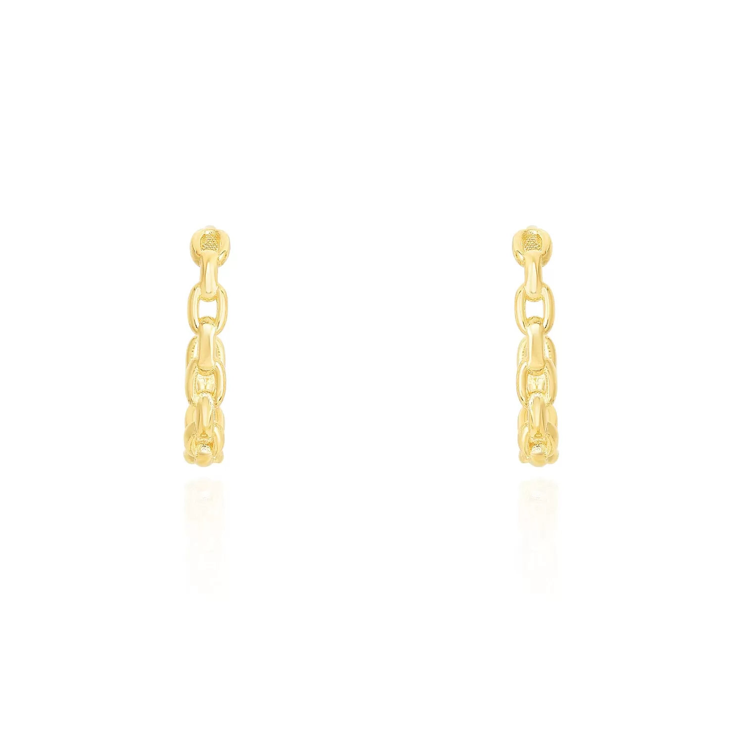 Oval Link Hoop Earrings