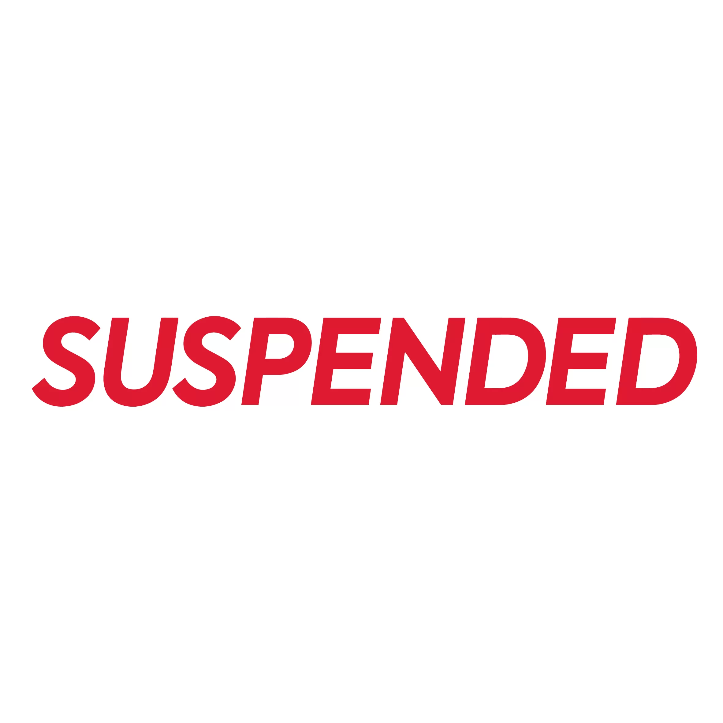 Suspended (Loose Fit T-shirt)