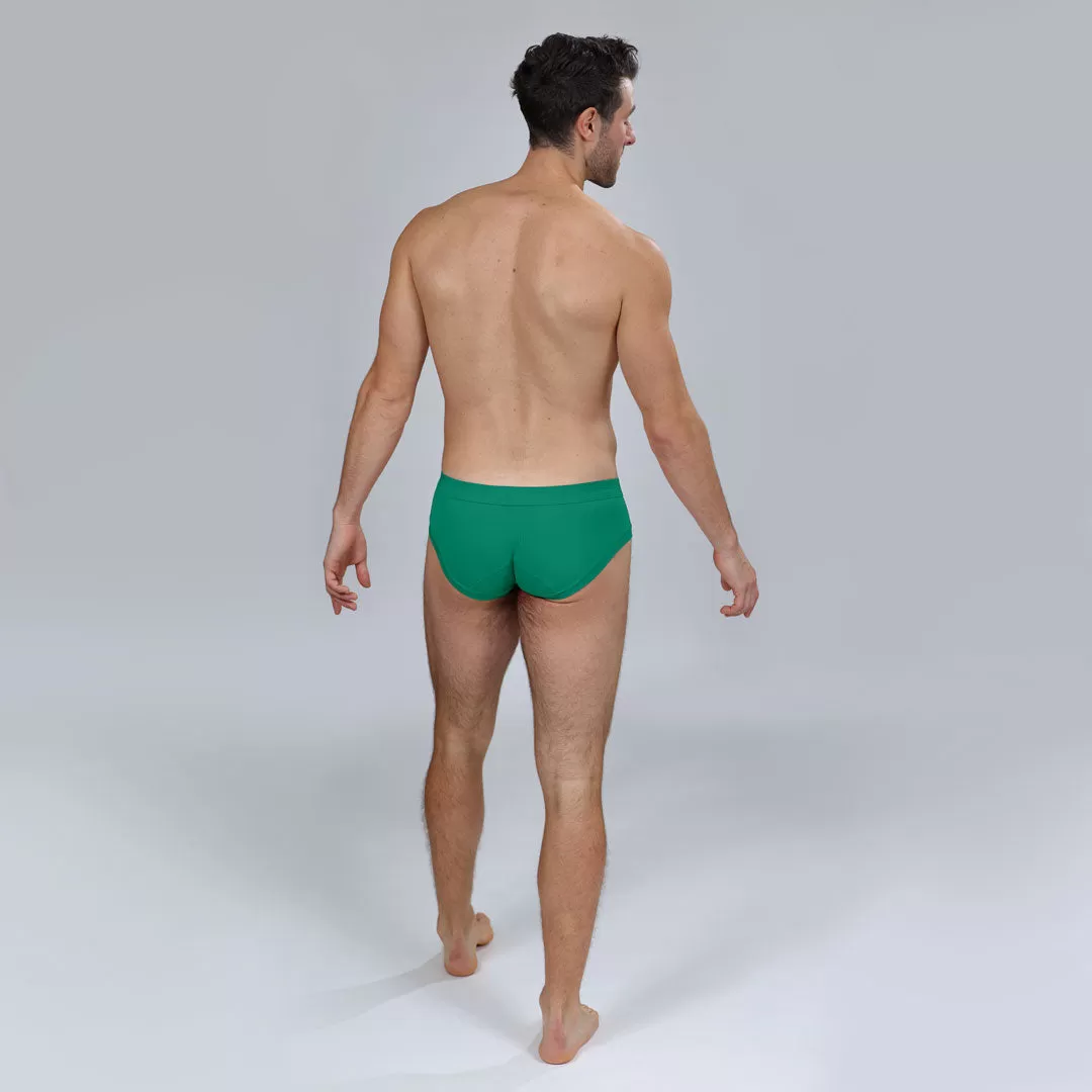 The Earth Green Brief