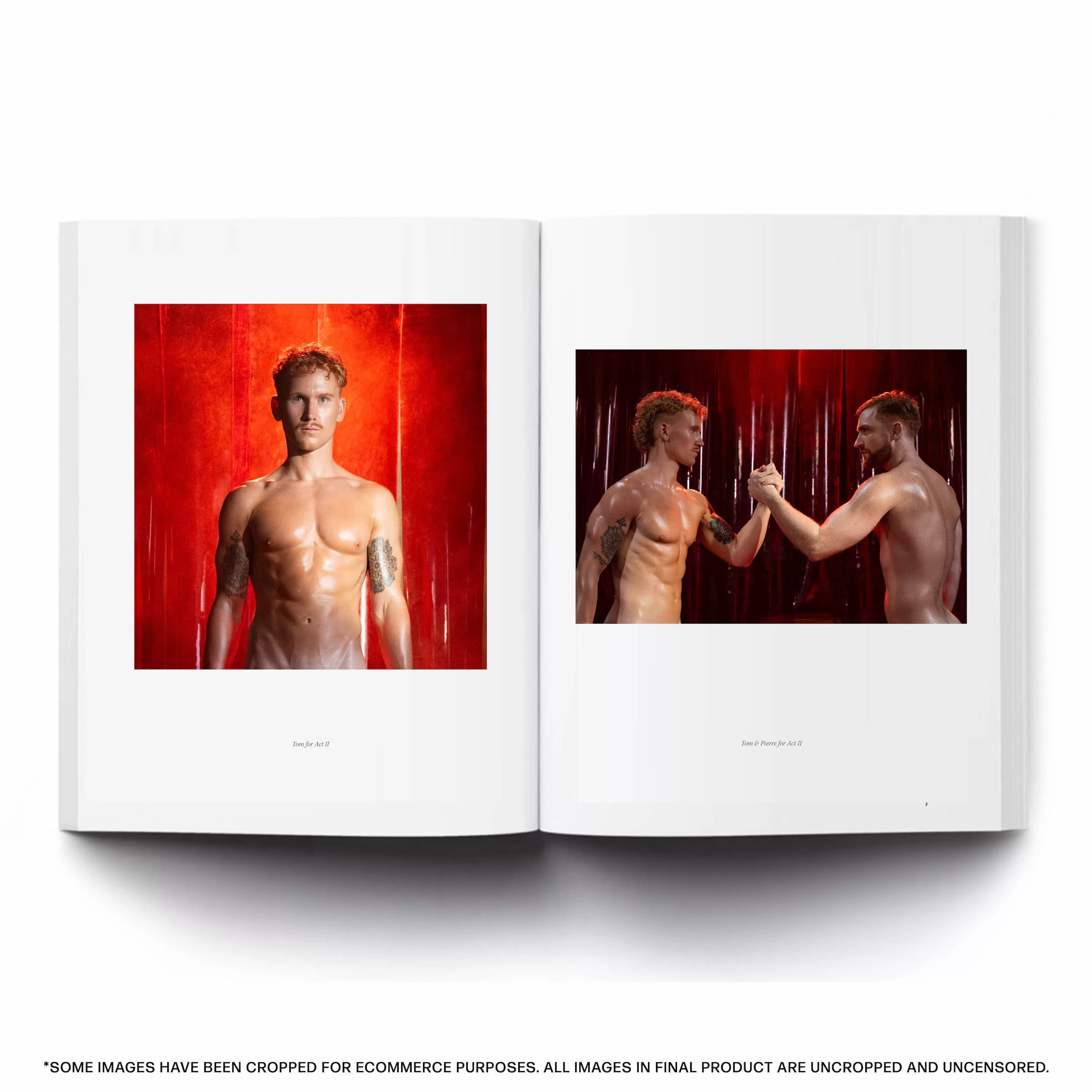 The Red Hot X Art Book