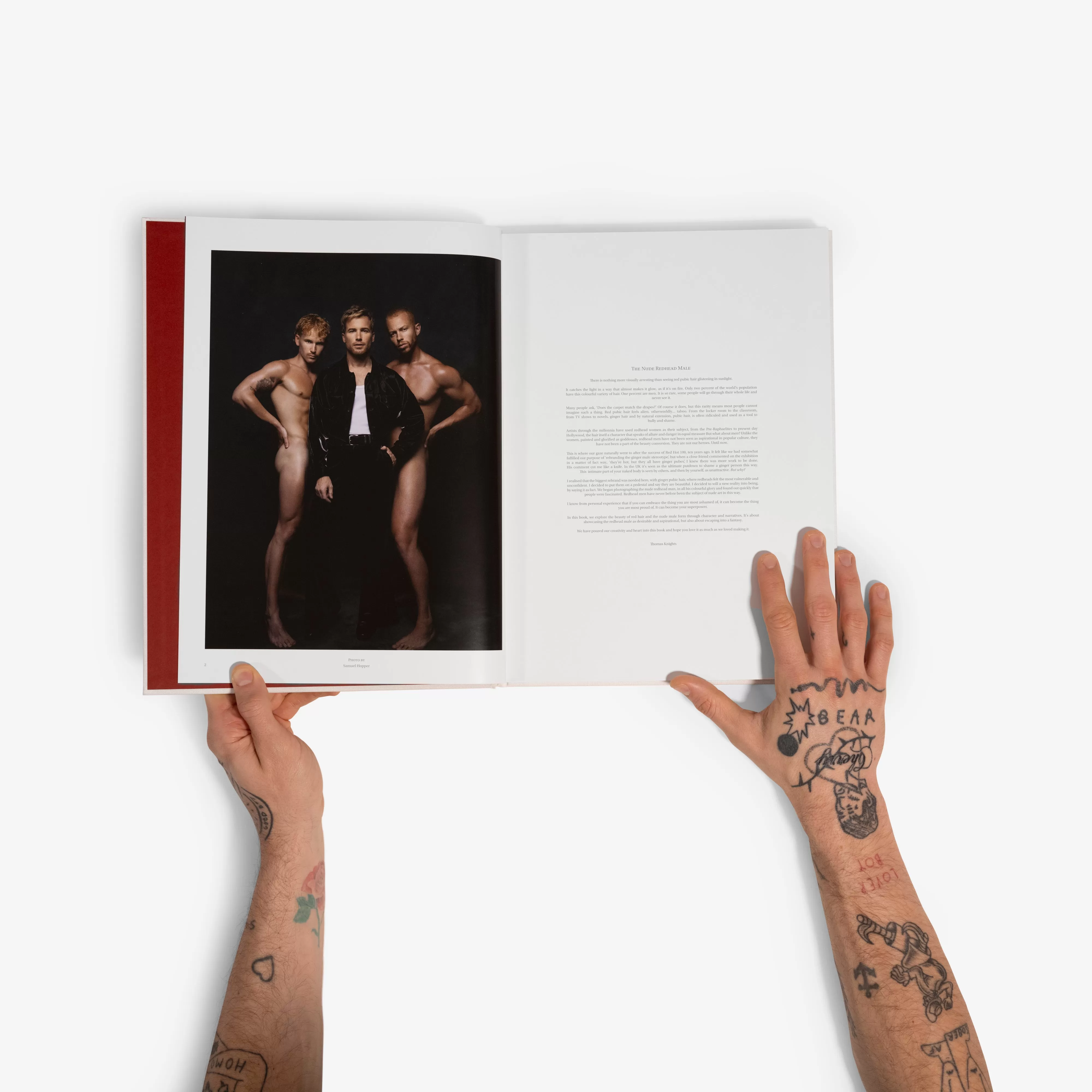 The Red Hot X Art Book